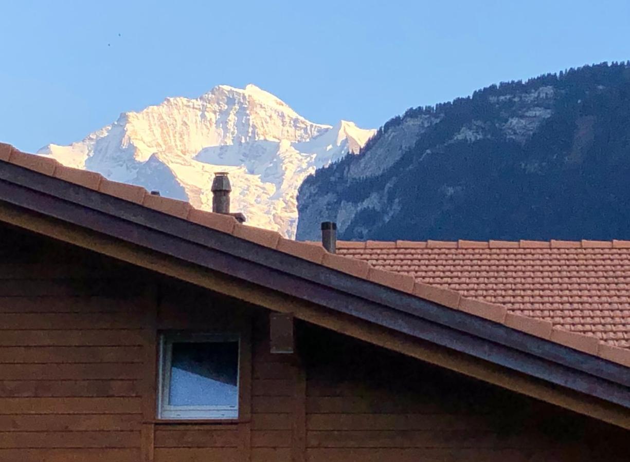 S&P Mountain View Apartment 1 Wilderswil Extérieur photo