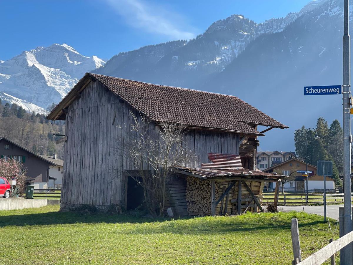 S&P Mountain View Apartment 1 Wilderswil Extérieur photo